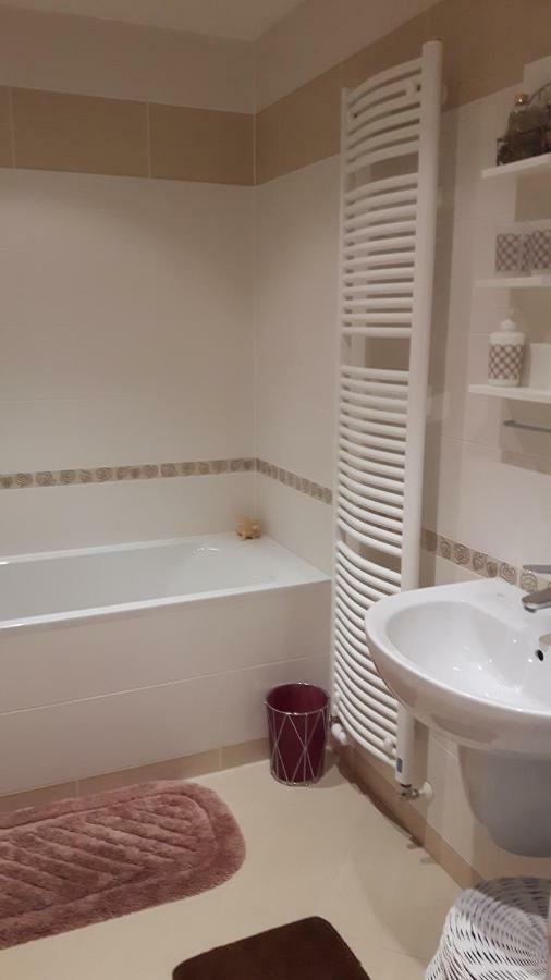Prostorny 3 Pokojovy Apartman S Dvema Terasami Praag Buitenkant foto
